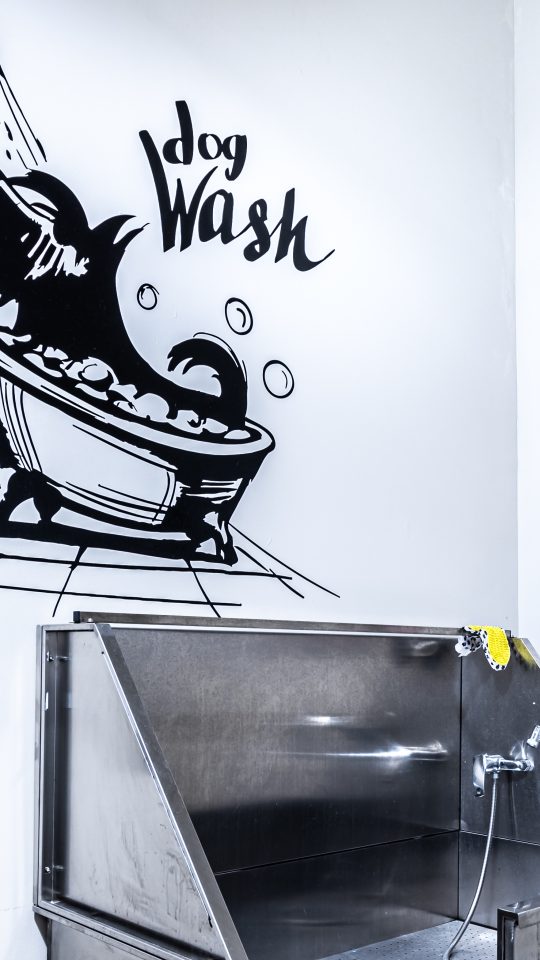 a kitchen with a sink and a microwave